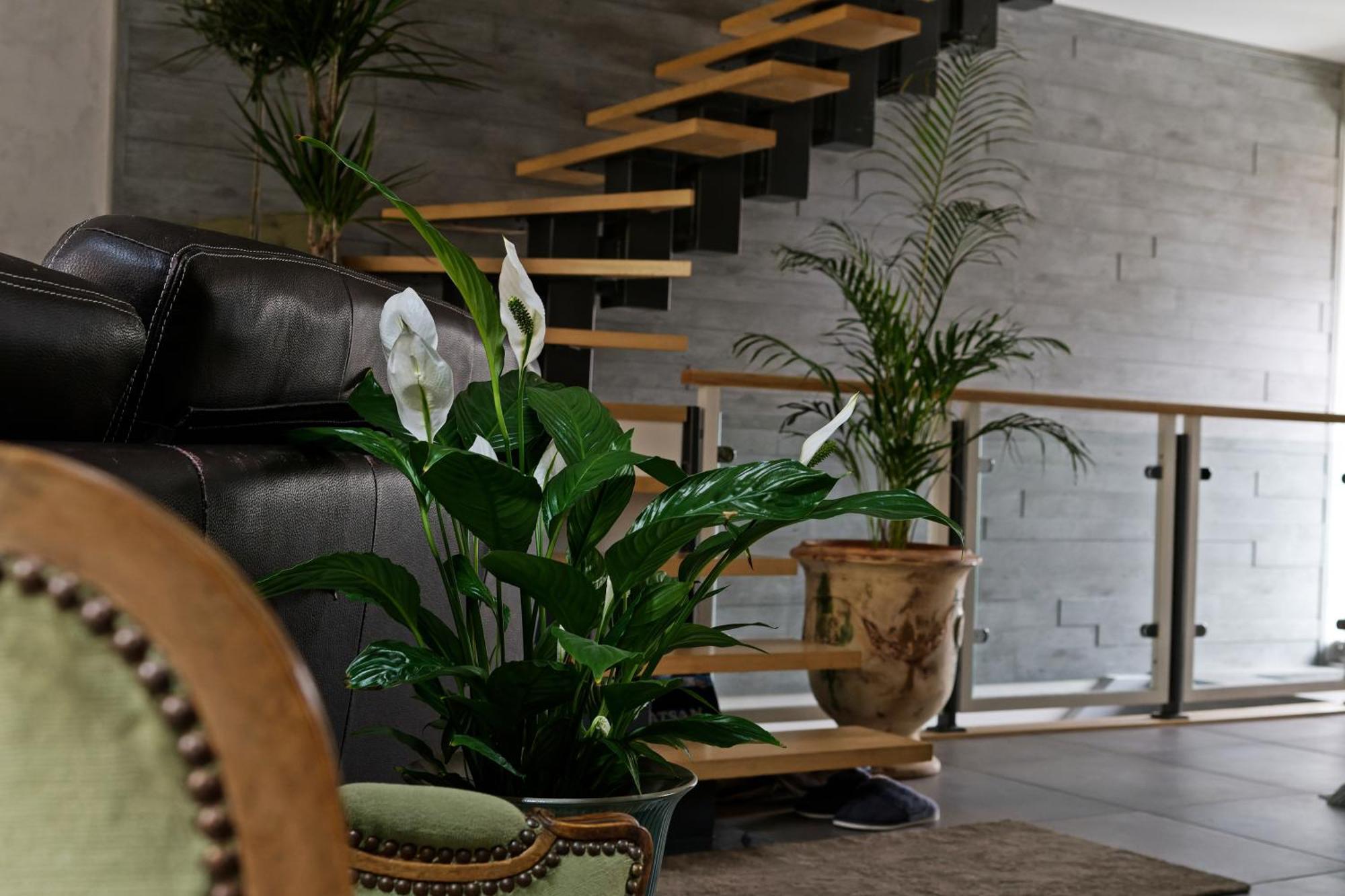 Superbe Appartement Au Coeur Du Jura Champagnole Dış mekan fotoğraf